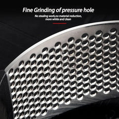 Stainless Steel Garlic Press